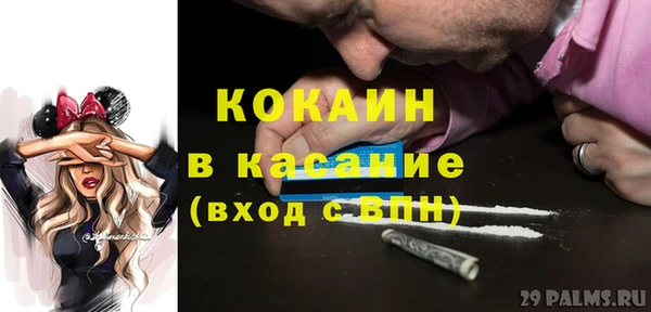 стафф Корсаков