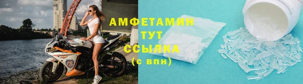 стафф Корсаков