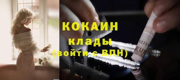 стафф Корсаков