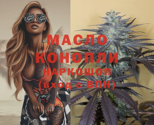 стафф Корсаков