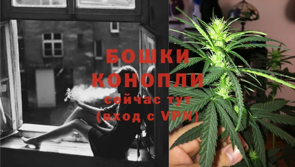 стафф Корсаков