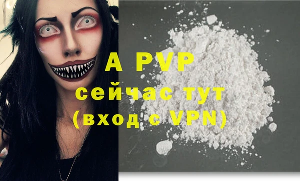 стафф Корсаков