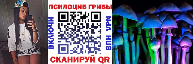 Купить закладки  Буинск  Псилоцибиновые грибы Magic Shrooms 